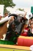 20080525_zabawy_pokazy (4)